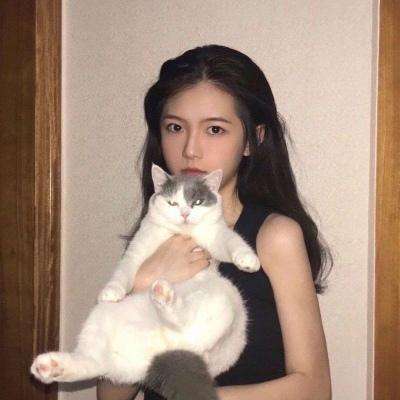 挖坑扫雷最新版下载